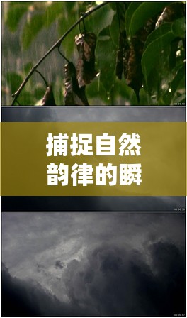 捕捉自然韻律的瞬間藝術(shù)，雨點(diǎn)曝光時間