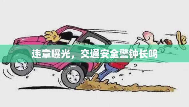 違章曝光，交通安全警鐘長(zhǎng)鳴