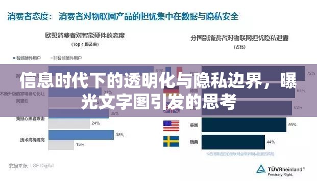 信息時代下的透明化與隱私邊界，曝光文字圖引發(fā)的思考