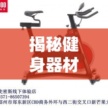 揭秘健身器材背后的真相，體重車選擇指南