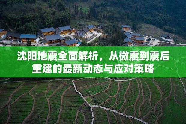 沈陽地震全面解析，從微震到震后重建的最新動態(tài)與應對策略