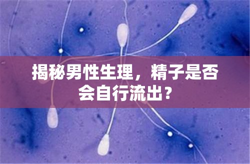 揭秘男性生理，精子是否會自行流出？