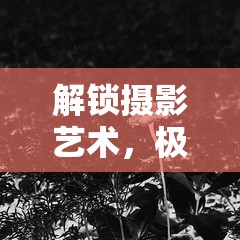 解鎖攝影藝術(shù)，極致曝光下的無限創(chuàng)意與表現(xiàn)力