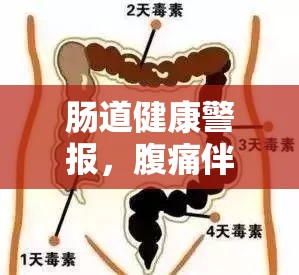 腸道健康警報，腹痛伴隨大便流出，不容忽視的信號