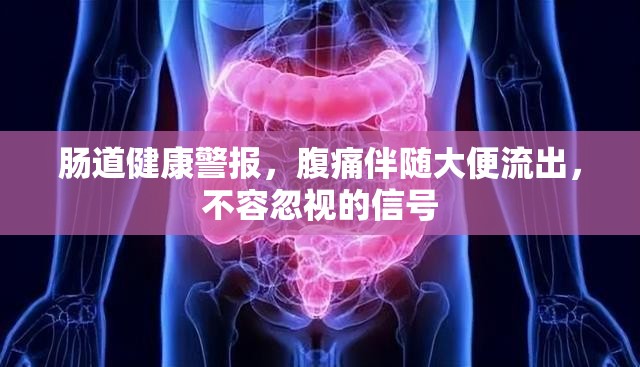 腸道健康警報，腹痛伴隨大便流出，不容忽視的信號