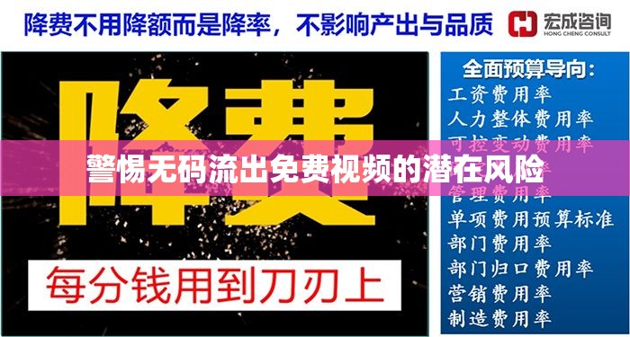 警惕無碼流出免費視頻的潛在風險