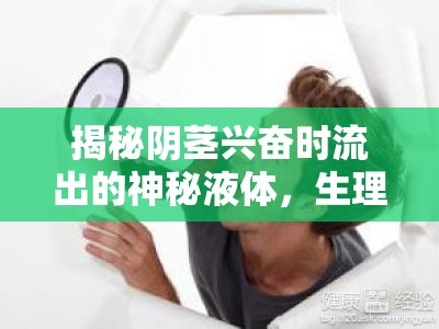 揭秘陰莖興奮時(shí)流出的神秘液體，生理與心理的全面解析