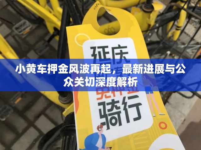 小黃車押金風波再起，最新進展與公眾關切深度解析