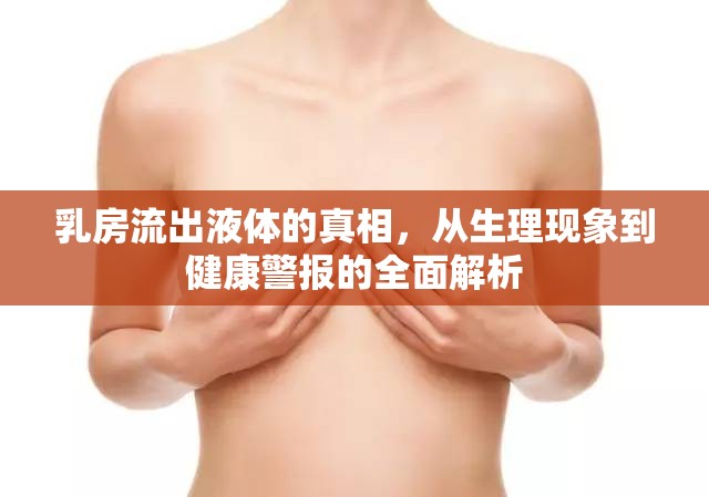 乳房流出液體的真相，從生理現(xiàn)象到健康警報(bào)的全面解析