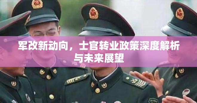 軍改新動向，士官轉(zhuǎn)業(yè)政策深度解析與未來展望