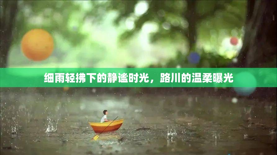 細(xì)雨輕拂下的靜謐時光，路川的溫柔曝光