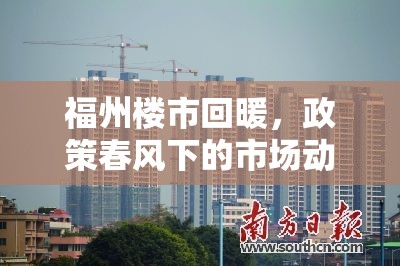 福州樓市回暖，政策春風(fēng)下的市場動態(tài)與未來展望