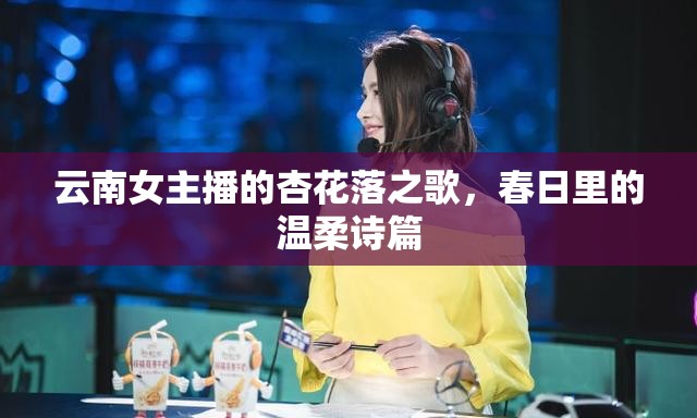 云南女主播的杏花落之歌，春日里的溫柔詩篇