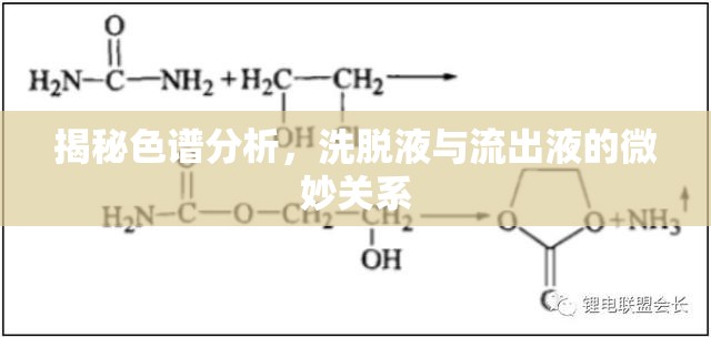 揭秘色譜分析，洗脫液與流出液的微妙關(guān)系