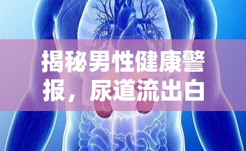 揭秘男性健康警報(bào)，尿道流出白色渾濁液體的真相