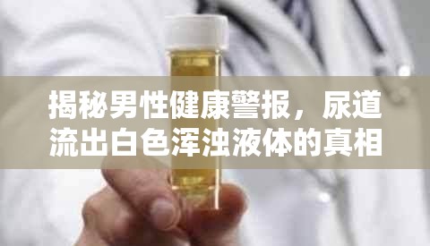 揭秘男性健康警報(bào)，尿道流出白色渾濁液體的真相