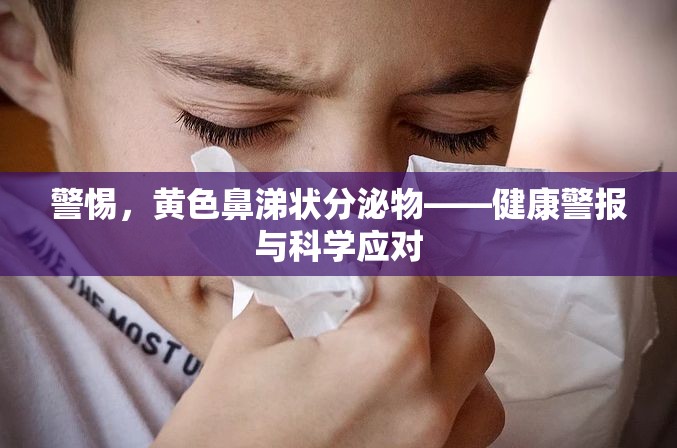 警惕，黃色鼻涕狀分泌物——健康警報與科學應對