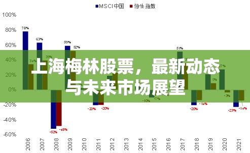 上海梅林股票，最新動(dòng)態(tài)與未來(lái)市場(chǎng)展望