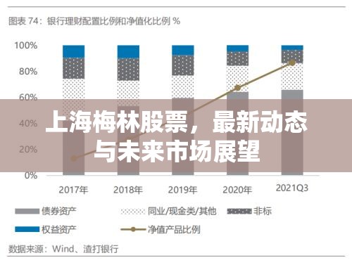 上海梅林股票，最新動(dòng)態(tài)與未來(lái)市場(chǎng)展望