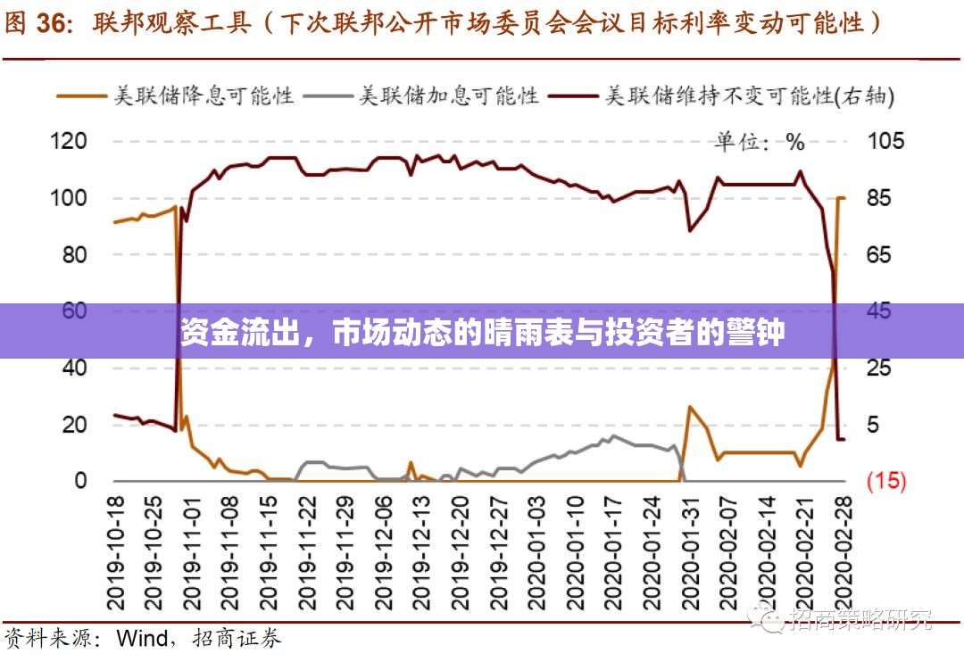 資金流出，市場動態(tài)的晴雨表與投資者的警鐘