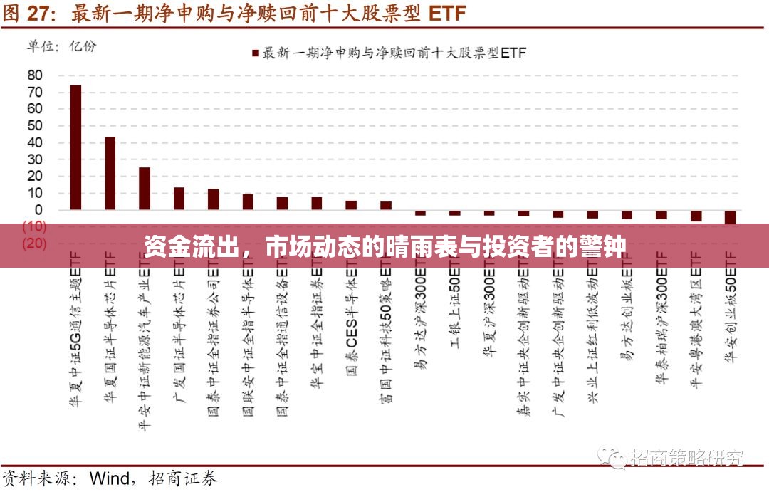 資金流出，市場動態(tài)的晴雨表與投資者的警鐘