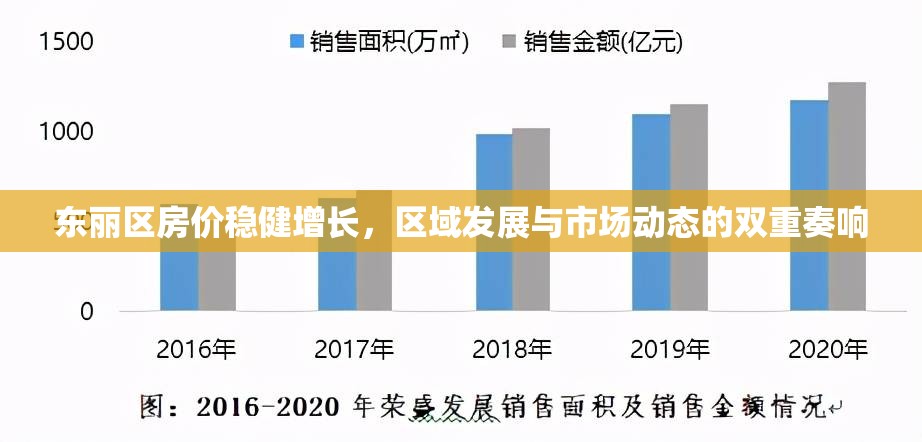 東麗區(qū)房?jī)r(jià)穩(wěn)健增長(zhǎng)，區(qū)域發(fā)展與市場(chǎng)動(dòng)態(tài)的雙重奏響