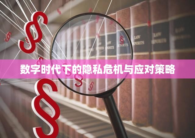 數字時代下的隱私危機與應對策略