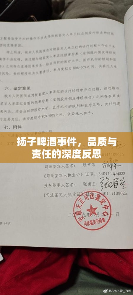 揚子啤酒事件，品質(zhì)與責(zé)任的深度反思