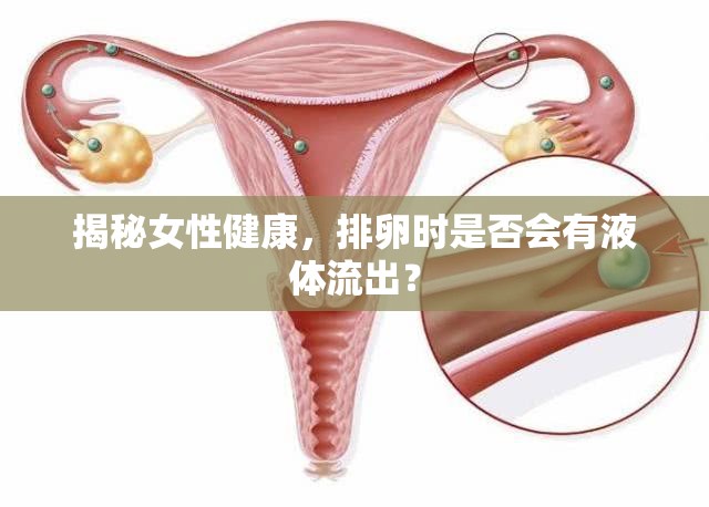 揭秘女性健康，排卵時是否會有液體流出？