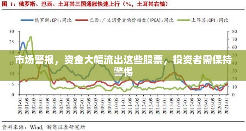 市場警報，資金大幅流出這些股票，投資者需保持警惕