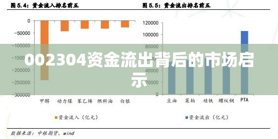 002304資金流出背后的市場(chǎng)啟示