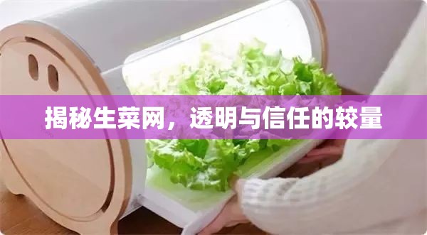 揭秘生菜網(wǎng)，透明與信任的較量