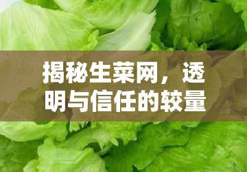 揭秘生菜網(wǎng)，透明與信任的較量