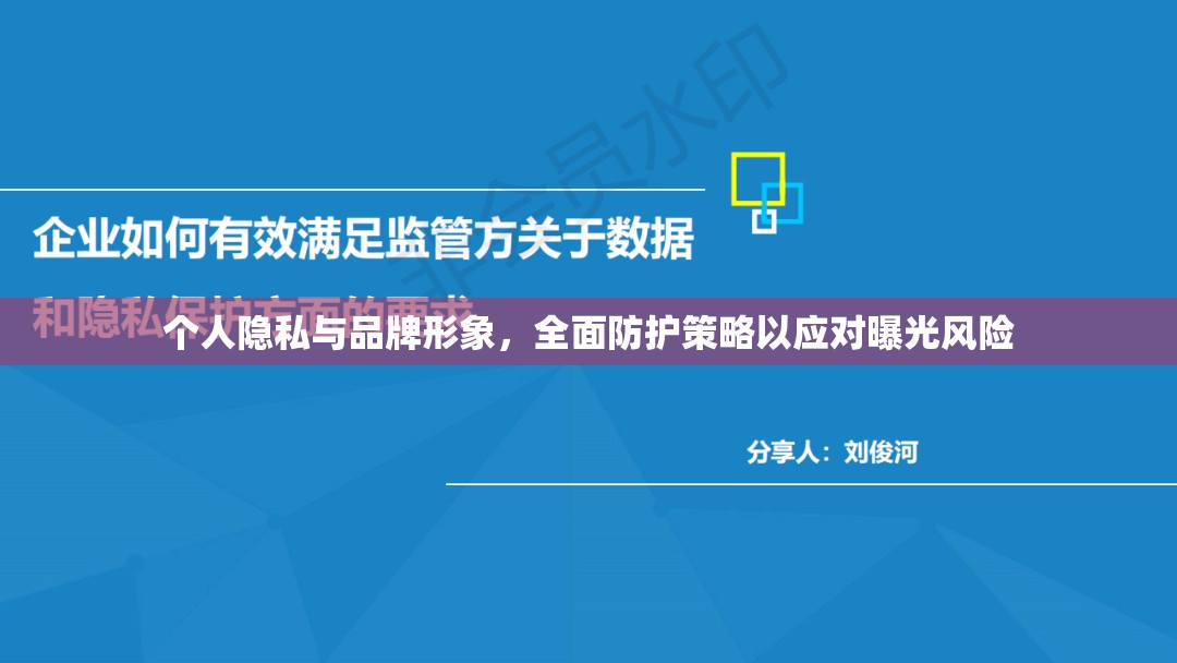 個(gè)人隱私與品牌形象，全面防護(hù)策略以應(yīng)對曝光風(fēng)險(xiǎn)