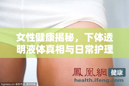 女性健康揭秘，下體透明液體真相與日常護(hù)理指南