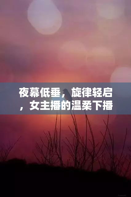 夜幕低垂，旋律輕啟，女主播的溫柔下播告別