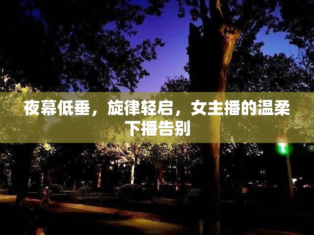 夜幕低垂，旋律輕啟，女主播的溫柔下播告別