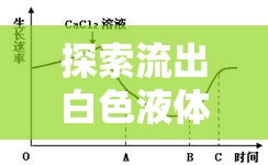 探索流出白色液體的奧秘，健康、性愛與生理反應(yīng)的深度解析