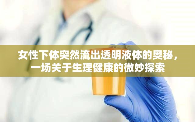 女性下體突然流出透明液體的奧秘，一場關(guān)于生理健康的微妙探索