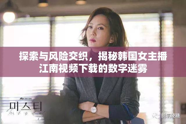 探索與風險交織，揭秘韓國女主播江南視頻下載的數(shù)字迷霧