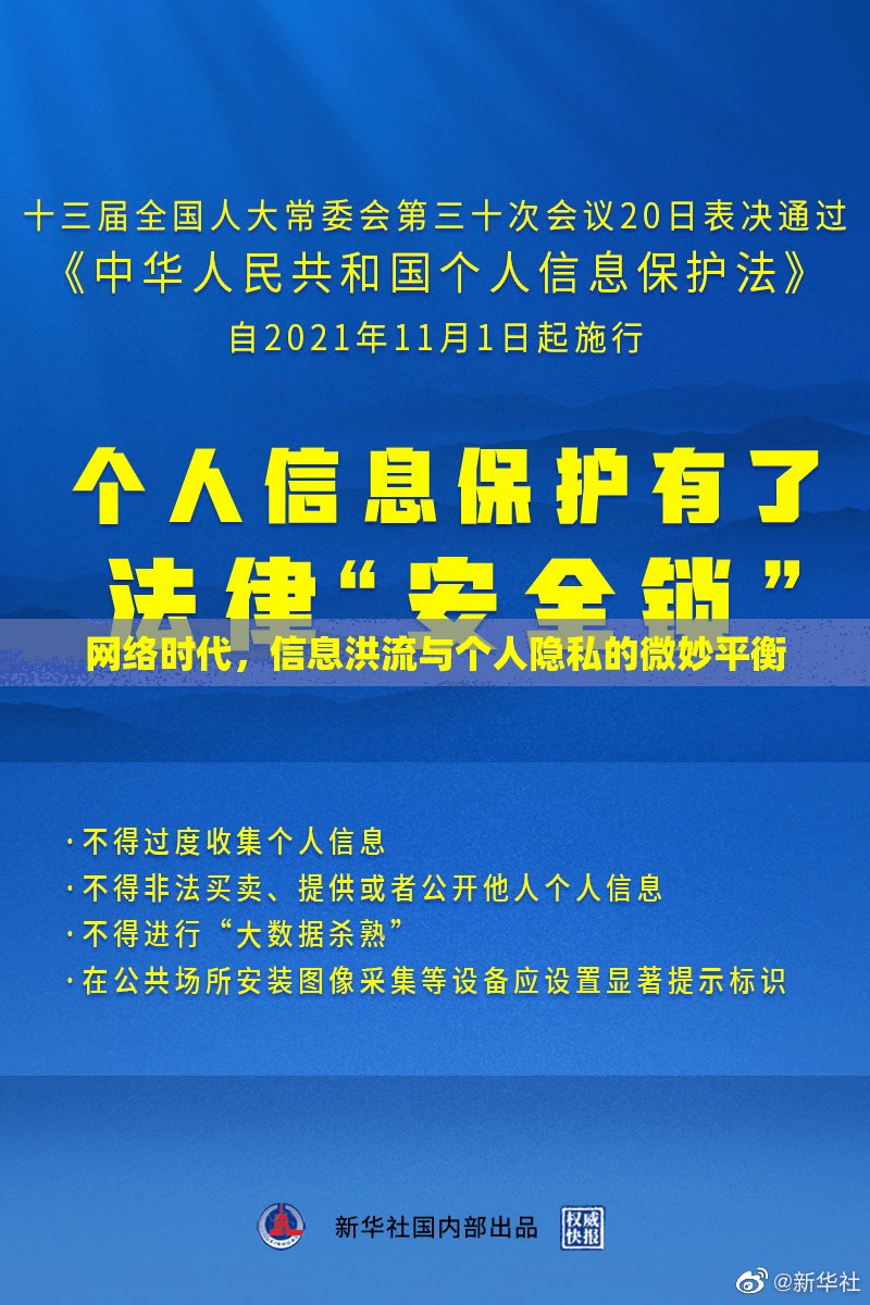 網(wǎng)絡(luò)時代，信息洪流與個人隱私的微妙平衡