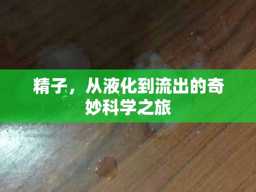 精子，從液化到流出的奇妙科學(xué)之旅