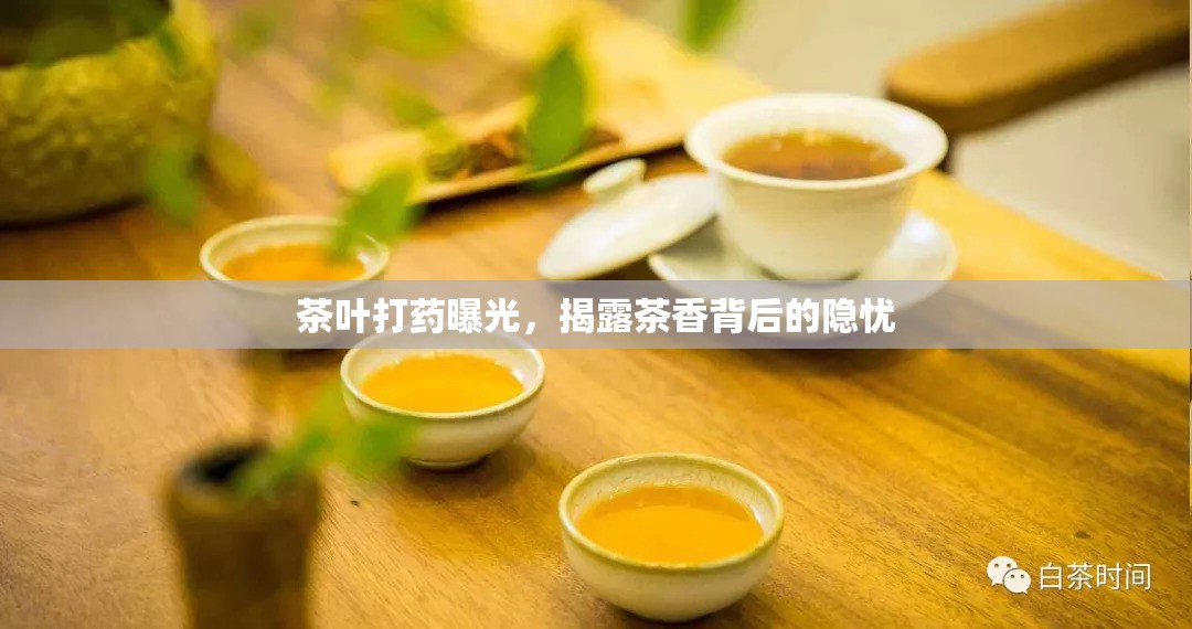 茶葉打藥曝光，揭露茶香背后的隱憂