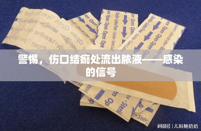 警惕，傷口結(jié)痂處流出膿液——感染的信號