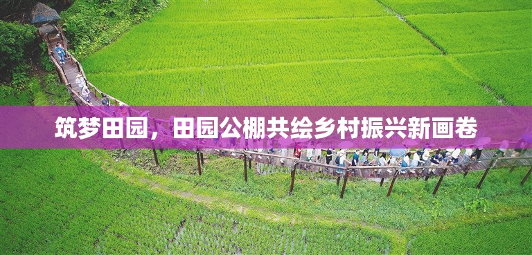 筑夢田園，田園公棚共繪鄉(xiāng)村振興新畫卷