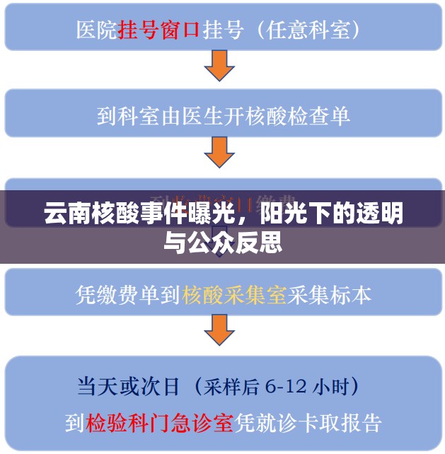 云南核酸事件曝光，陽(yáng)光下的透明與公眾反思