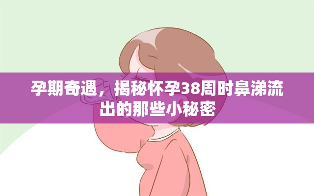 孕期奇遇，揭秘懷孕38周時(shí)鼻涕流出的那些小秘密