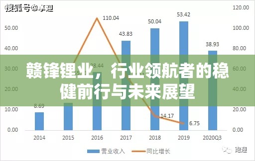 贛鋒鋰業(yè)，行業(yè)領(lǐng)航者的穩(wěn)健前行與未來展望