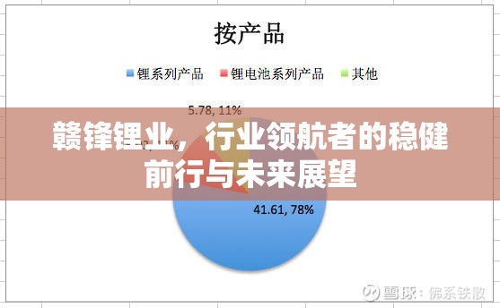 贛鋒鋰業(yè)，行業(yè)領(lǐng)航者的穩(wěn)健前行與未來展望