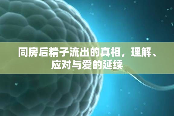 同房后精子流出的真相，理解、應對與愛的延續(xù)